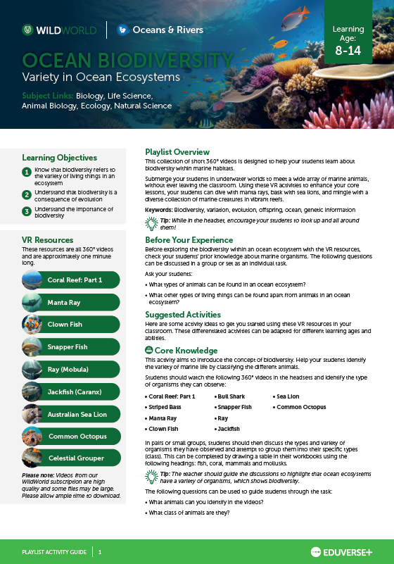 Activity Guide