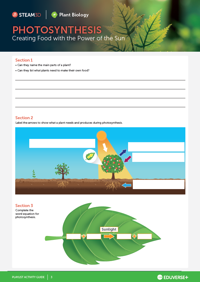 Student Worksheet